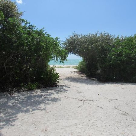 Beachfront Apartment With Swimming Pool. One Bedroom Celestun Esterno foto