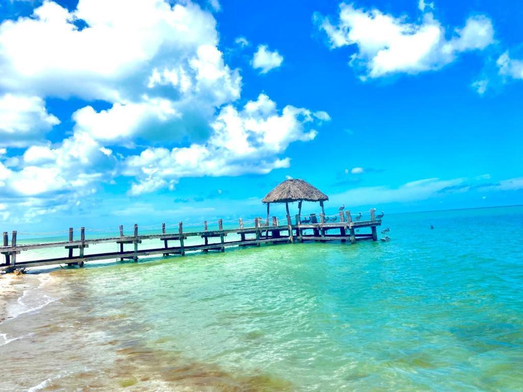 Beachfront Apartment With Swimming Pool. One Bedroom Celestun Esterno foto