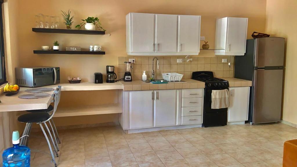 Beachfront Apartment With Swimming Pool. One Bedroom Celestun Esterno foto
