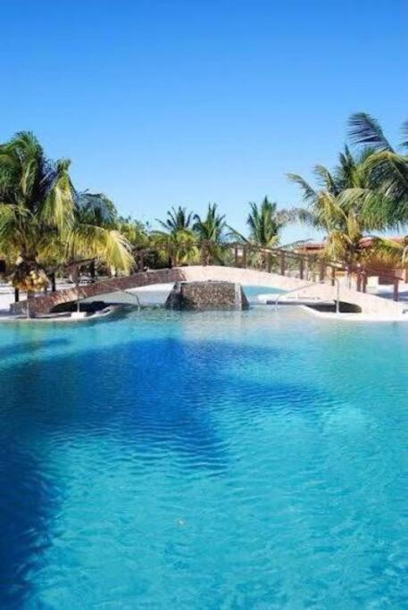 Beachfront Apartment With Swimming Pool. One Bedroom Celestun Esterno foto