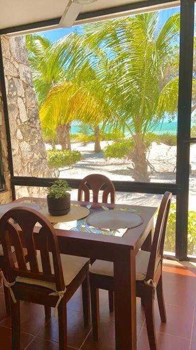Beachfront Apartment With Swimming Pool. One Bedroom Celestun Esterno foto