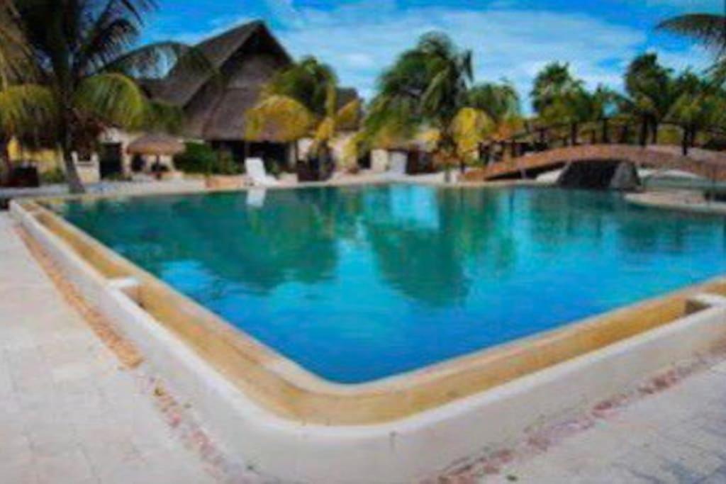 Beachfront Apartment With Swimming Pool. One Bedroom Celestun Esterno foto