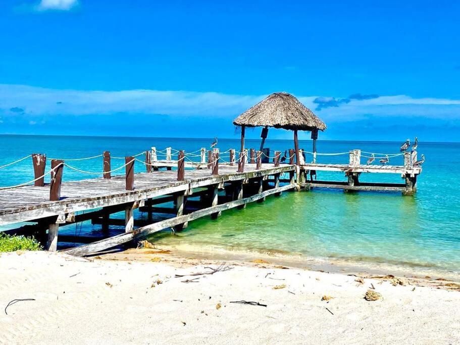 Beachfront Apartment With Swimming Pool. One Bedroom Celestun Esterno foto