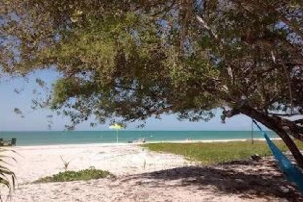 Beachfront Apartment With Swimming Pool. One Bedroom Celestun Esterno foto
