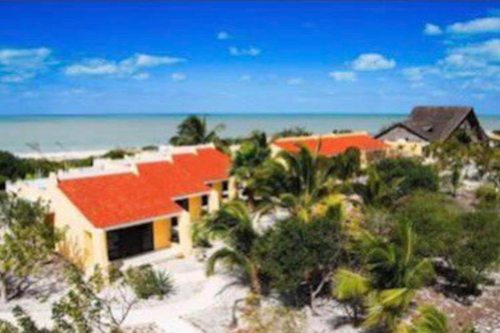 Beachfront Apartment With Swimming Pool. One Bedroom Celestun Esterno foto
